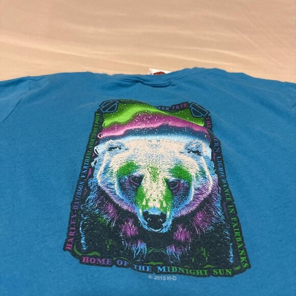 Harley Davidson Fairbanks Alaska - Picture 2 of 6